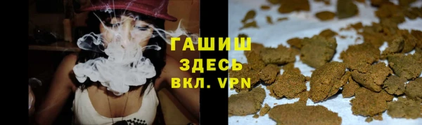 крисы Алзамай
