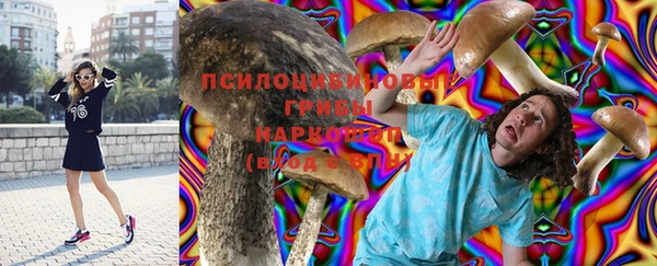герыч Алексин