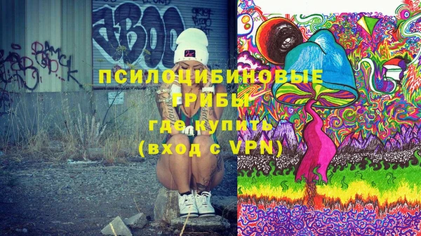 герыч Алексин
