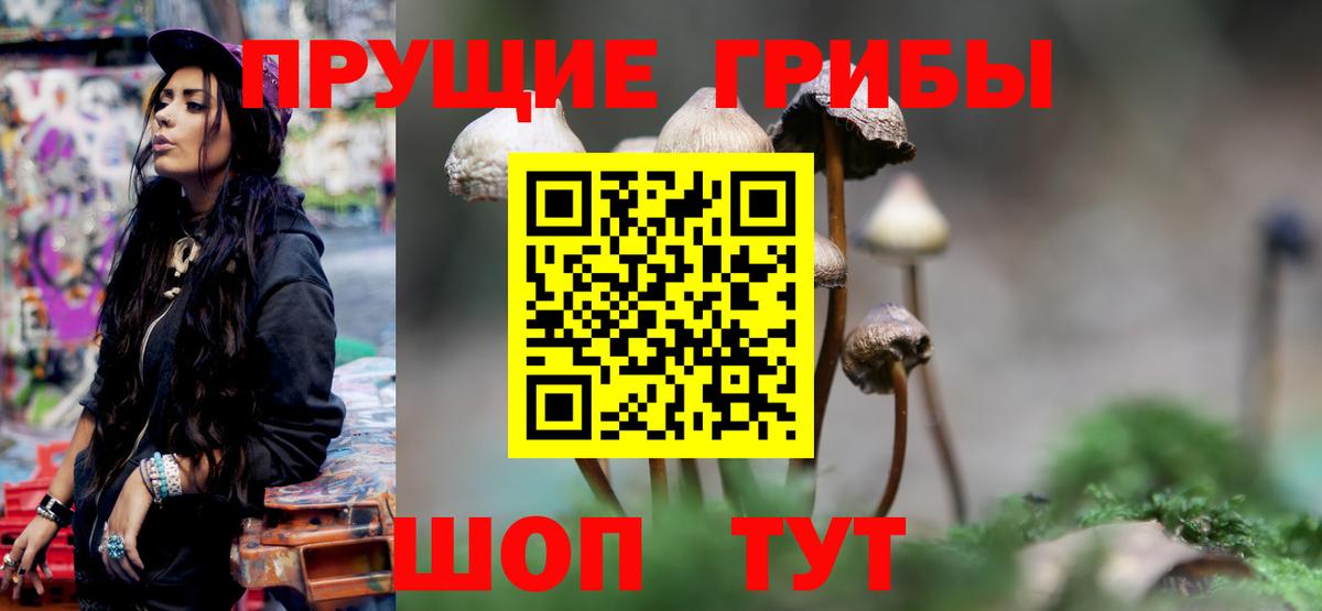 Псилоцибиновые грибы Cubensis  Галлюциногенные грибы GOLDEN TEACHER  Ливны  Вход с VPN 