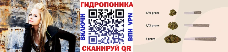Бошки марихуана VHQ  купить   Ливны 